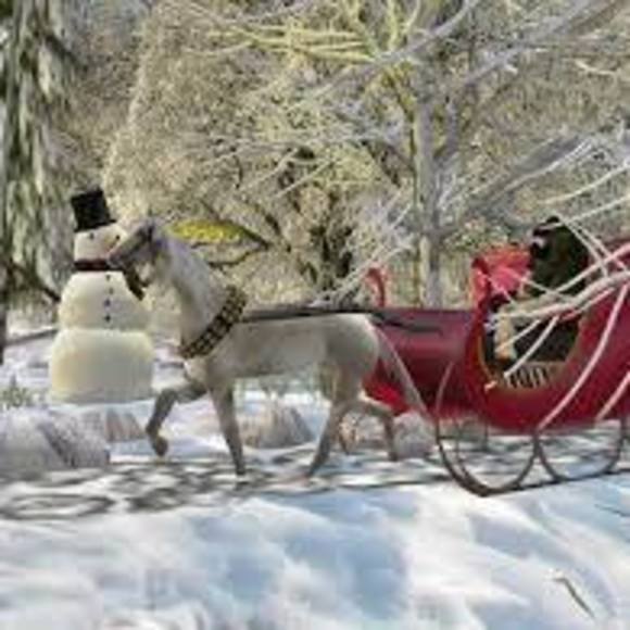 Meet your Posher, Rosa - Picture 1 of 1